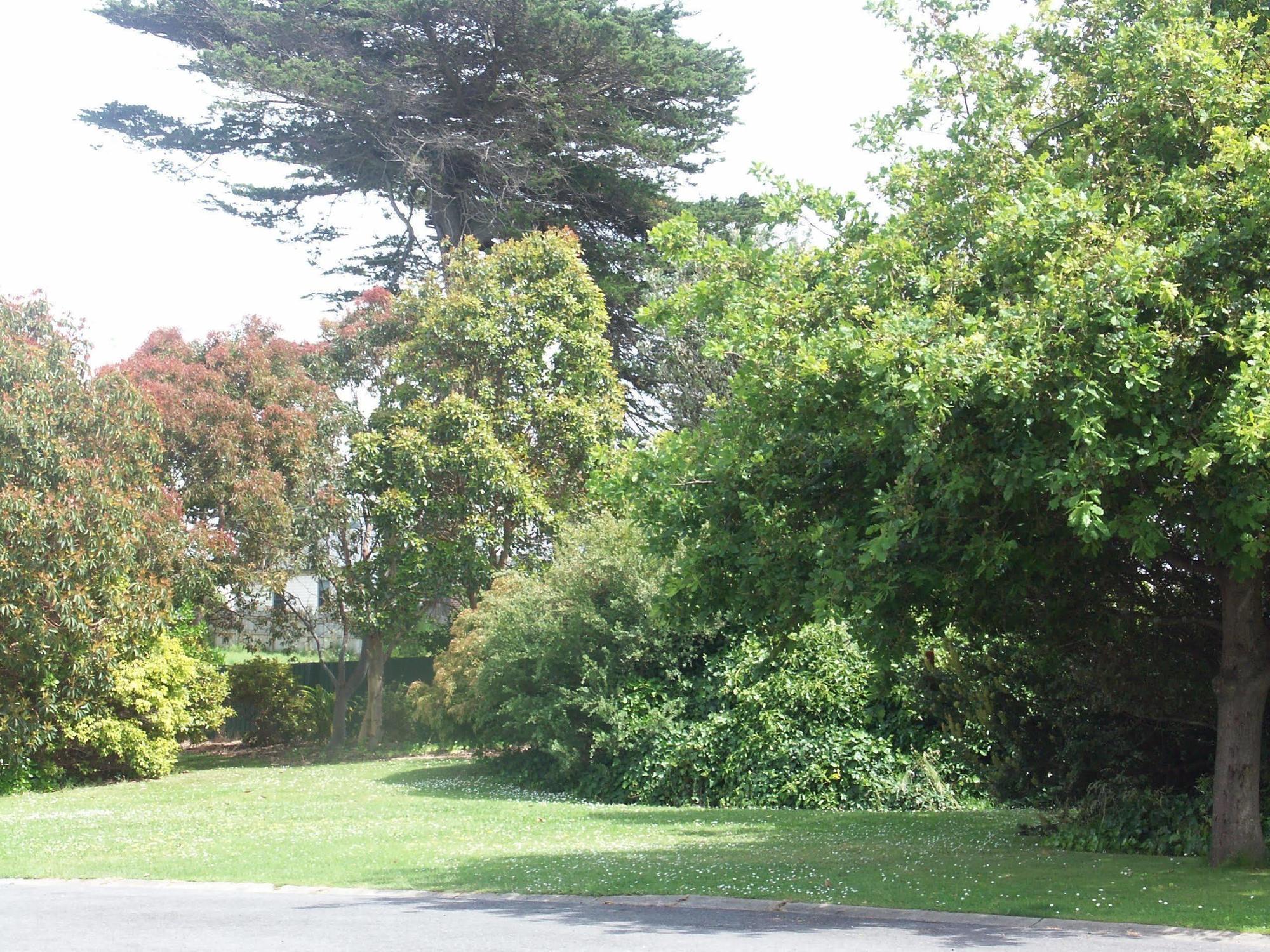 Melaleuca Motel Portland Buitenkant foto